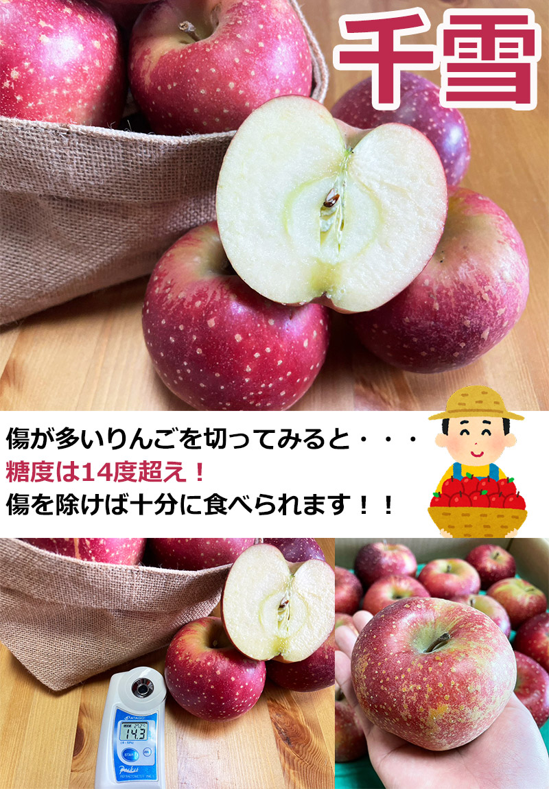 りんご 訳あり 10Kg箱 青森県産 千雪 りんご 10Kg前後 珍しい 変色 