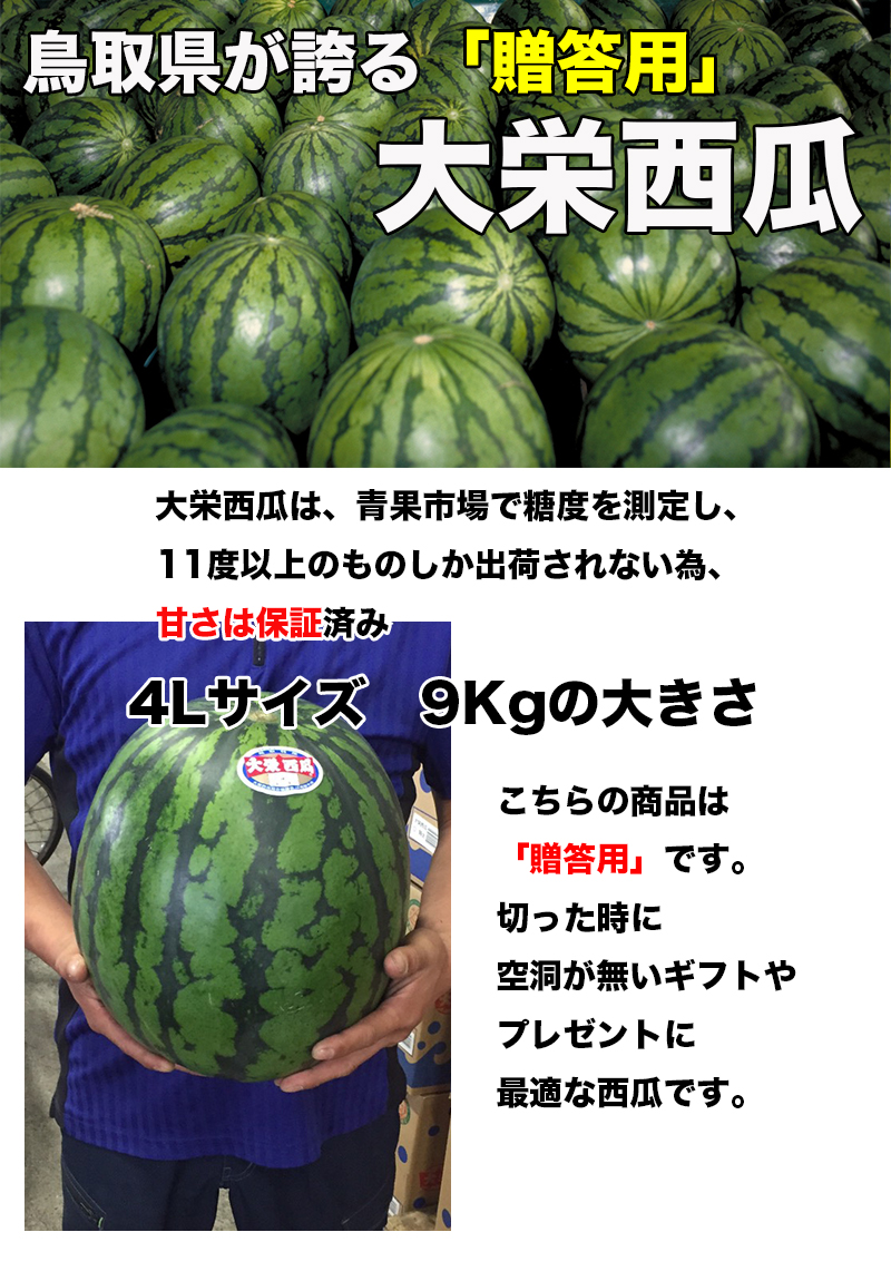 スイカ Amazon.co.jp: 【 予約7/31最終出荷】尺玉西瓜 日田 すいか