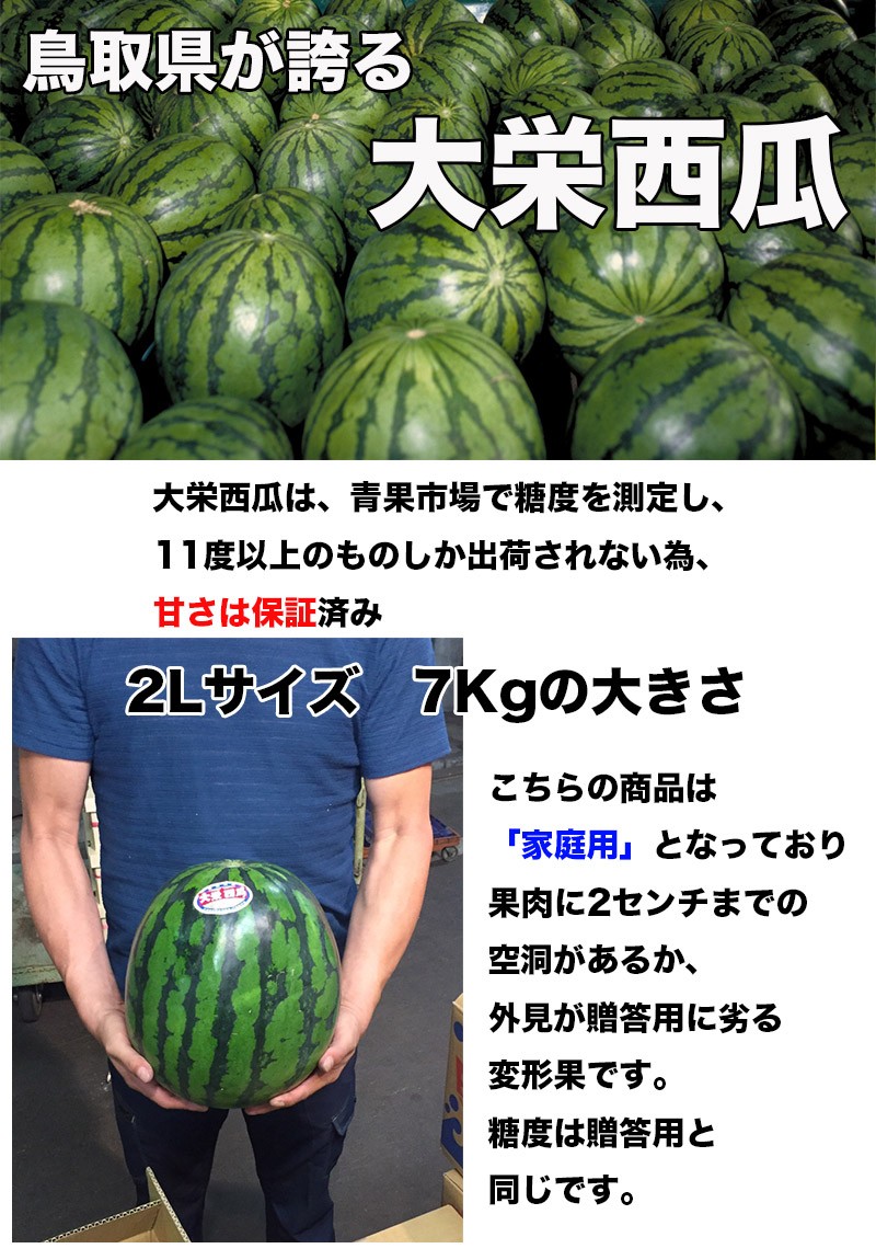 すいか スイカ 訳あり 鳥取県産 大栄西瓜 2Lサイズ 7kg以上 ご家庭用 送料無料 大栄 すいか 大玉 西瓜 ギフト 父の日