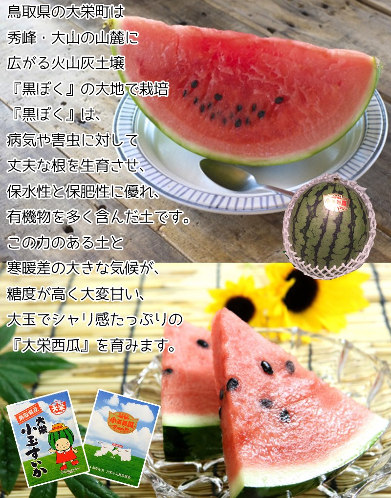すいか スイカ 鳥取県産 大栄 小玉西瓜 2Lサイズ 4玉入 送料無料