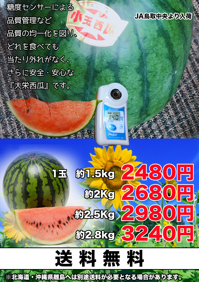 s10 数量限定 尾花沢スイカ2680円6〜7kg×1玉 山形県産 訳あり家庭用 - 果物