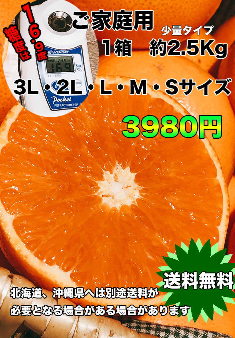 せとか みかん 訳あり 送料無料 柑橘の大トロ 愛媛県 せとか Lサイズ