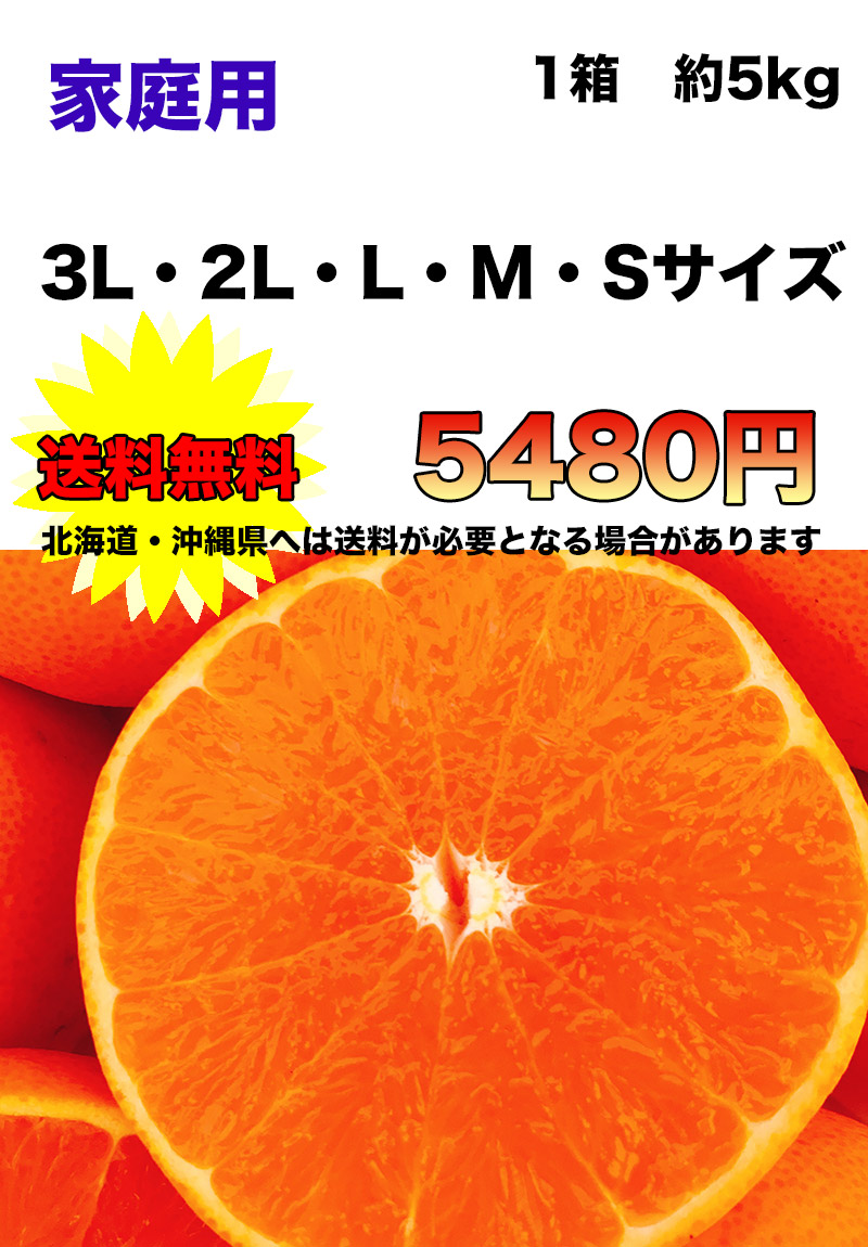 せとか みかん 訳あり 送料無料 柑橘の大トロ 愛媛県 せとか Lサイズ 2.5kg ご家庭用 お試し 送料無料【3月上旬頃から】