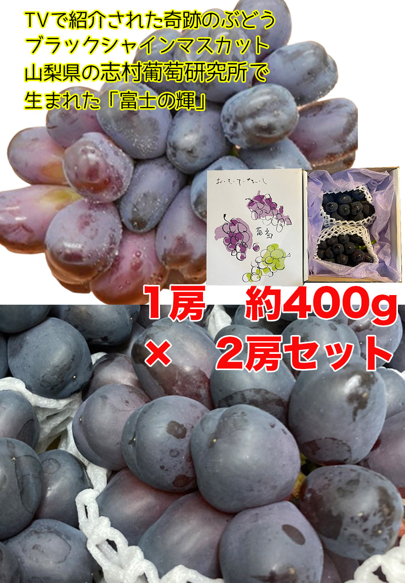 ぶどう シャインマスカット ブラックシャインマスカット 山梨県産 富士の輝 1房入 400g × 2房 ぶどう マスカット クール便 送料無料  8月下旬頃から