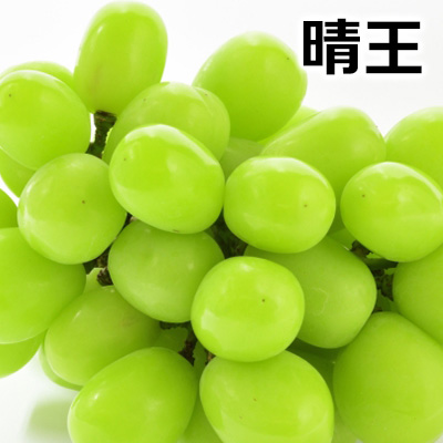 ぶどう シャインマスカット 晴王 送料無料 岡山県産 シャイン