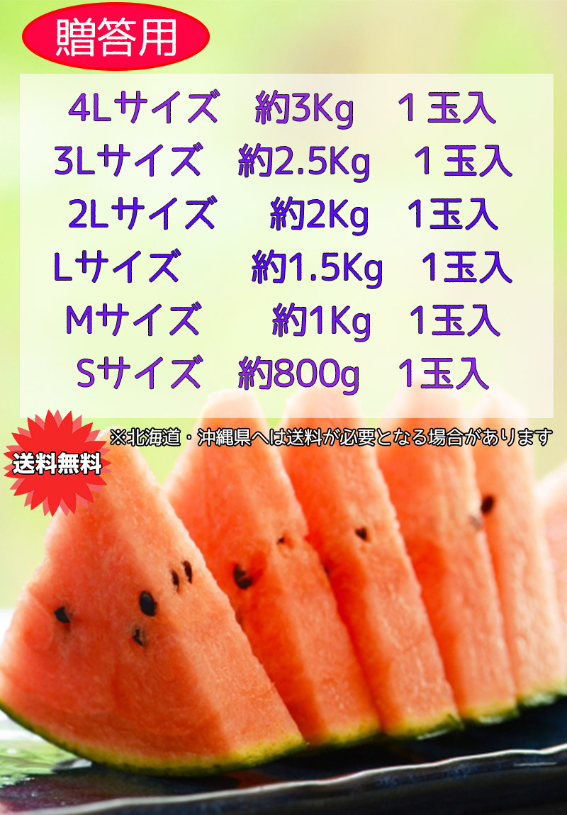 すいか スイカ 熊本 夢大地 ひとりじめ 西瓜 秀品 2Lサイズ 1玉 2kg 光糖度センサー検査済 糖度保証 送料無料 小玉西瓜 お中元 ギフト  :wm040-43z2L1s:大和屋 旬果庵 - 通販 - Yahoo!ショッピング
