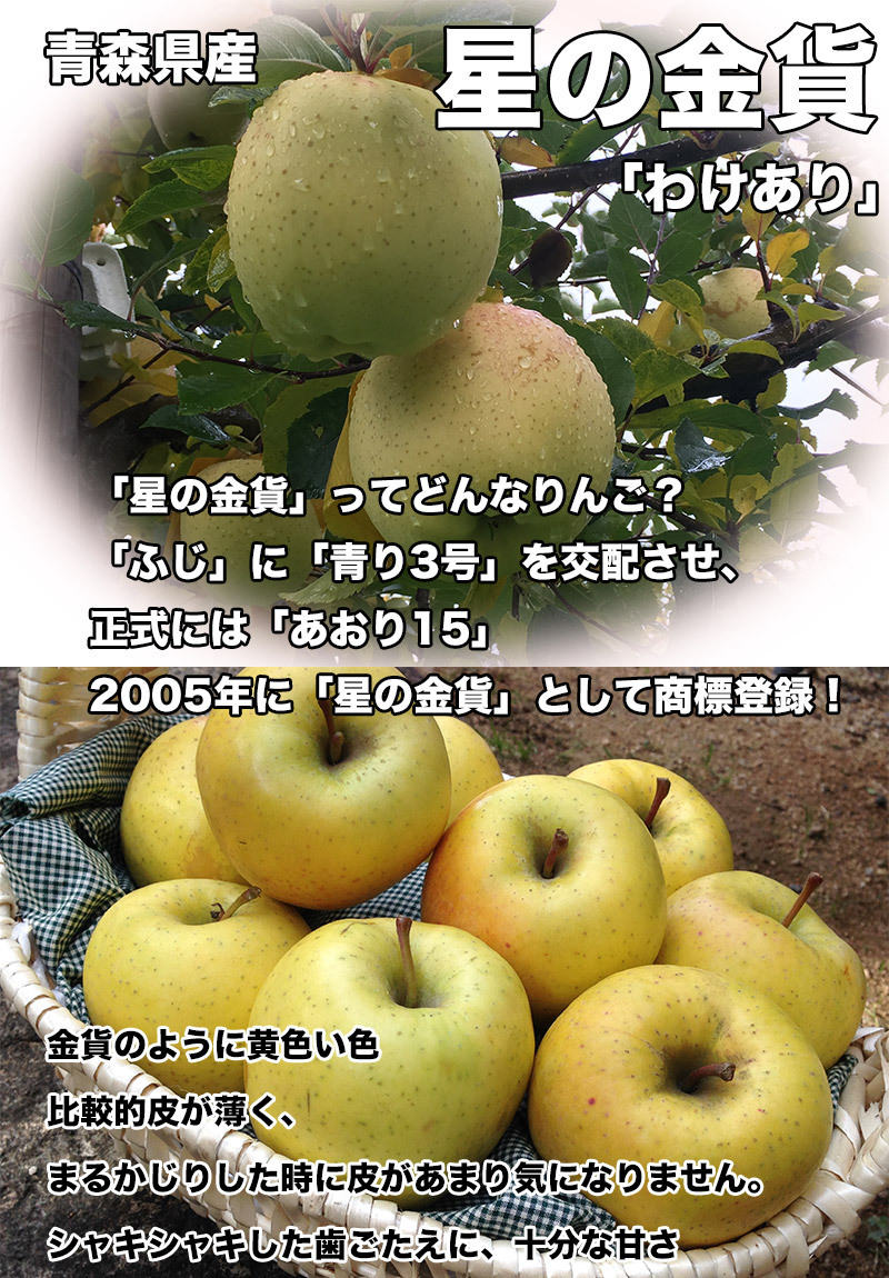 りんご 訳あり 10Kg 送料無料 青森県産 星の金貨 10kg 送料無料 青森 りんご 10Kg 訳あり お試し :a090-hk10w:大和屋  旬果庵 - 通販 - Yahoo!ショッピング