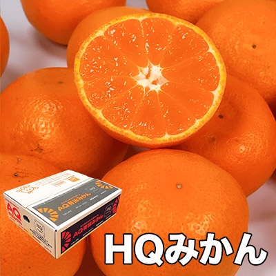 【みかん】Man LIVEまとめ売り 寿太郎みかん×ラブライブ！サンシャインコラボ化粧箱10キロ一箱