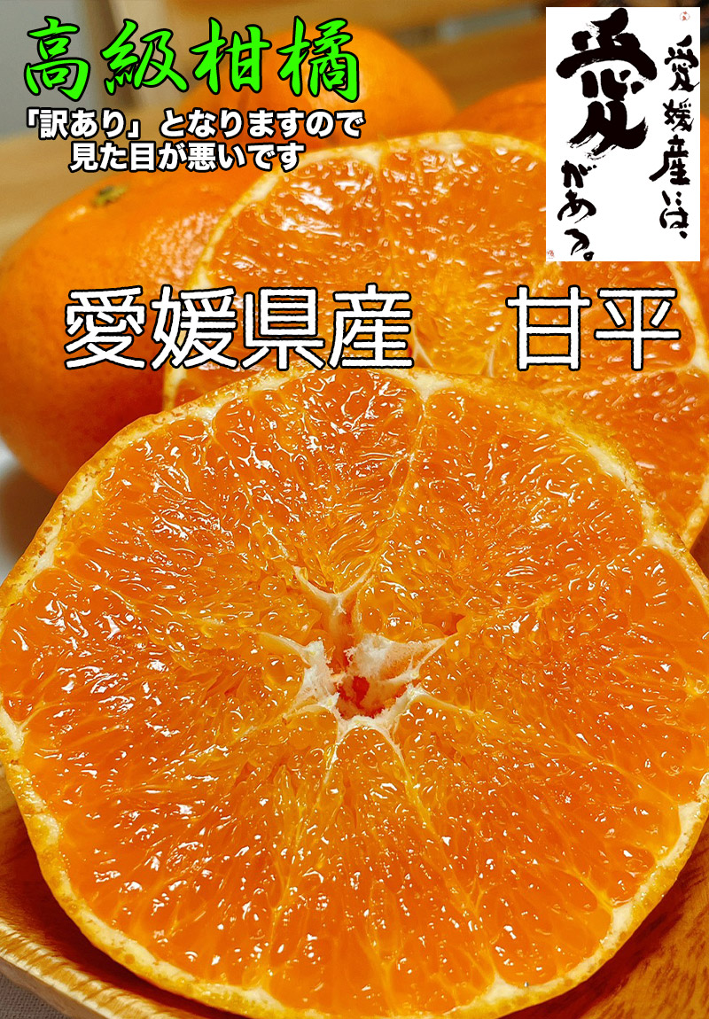 甘平 みかん ご家庭用 5Kg 送料無料 希少柑橘 愛媛県産 3Lサイズ 5kg
