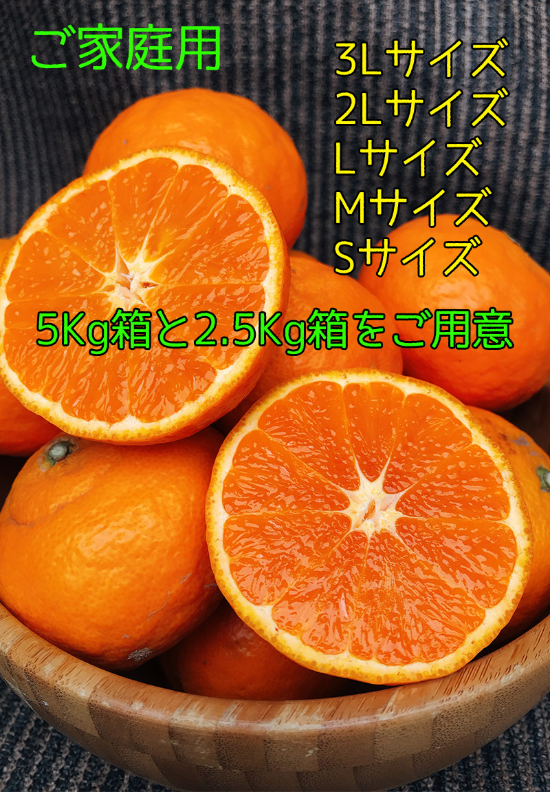 みかん 訳あり 5kg 愛媛県 和歌山県 カラマンダリン Mサイズ 春 ギフト