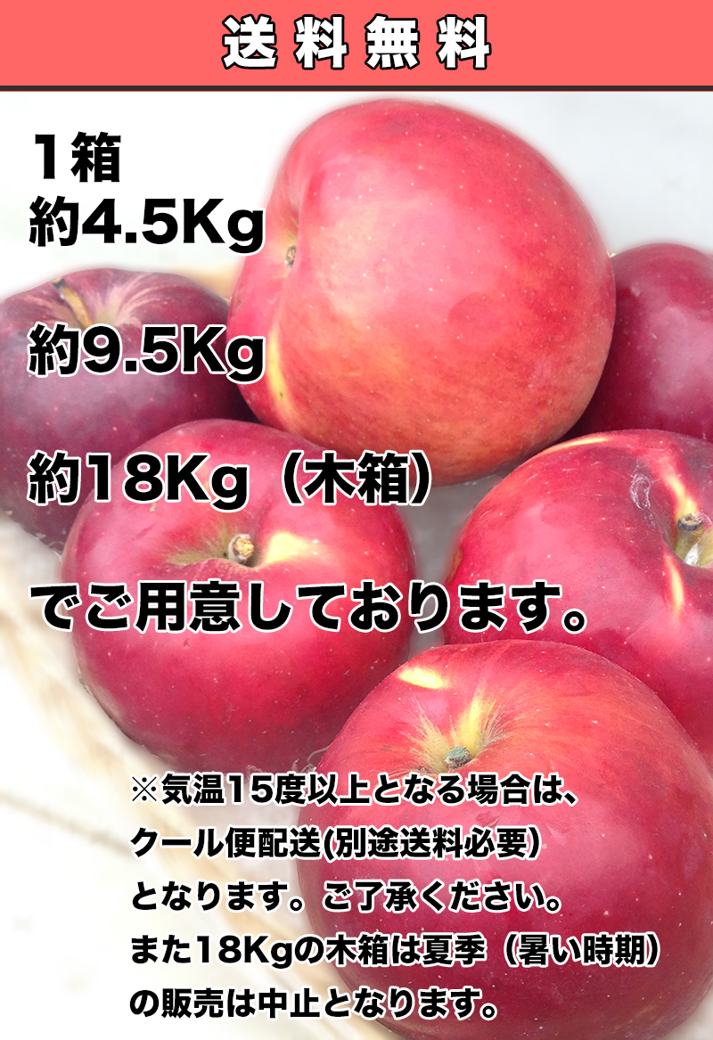 りんご 訳あり 10kg箱 青森県産 紅玉りんご 9Kg以上 常温便は りんご 訳あり 10kg箱 青森県産 紅玉りんご 9Kg以上 常温便は