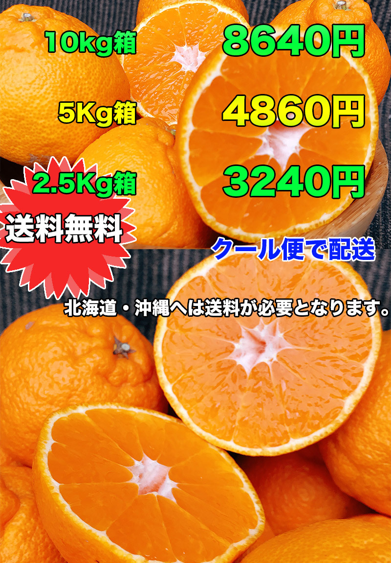 メーカー在庫限り品 デコポン みかん 5kg 送料無料 本家 熊本県産 完熟 ギフト 光糖度センサー検査済 糖度保証 クール便配送 Aynaelda Com メーカー在庫限り品 デコポン みかん 5kg 送料無料 本家 熊本県産 完熟 ギフト 光糖度センサー検査済 糖度保証 クール便配送 Aynaelda Com
