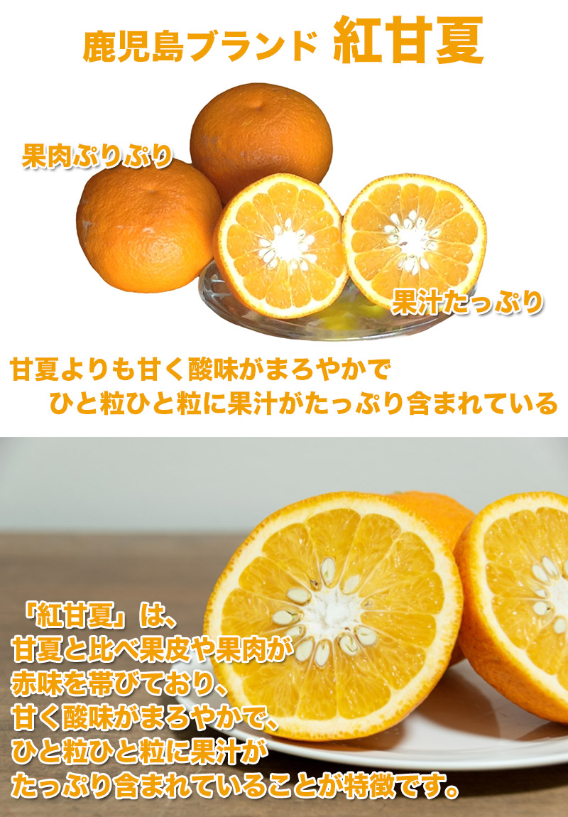 紅甘夏 みかん 10Kg ご家庭用 送料無料 鹿児島県産 Lサイズ 10kg