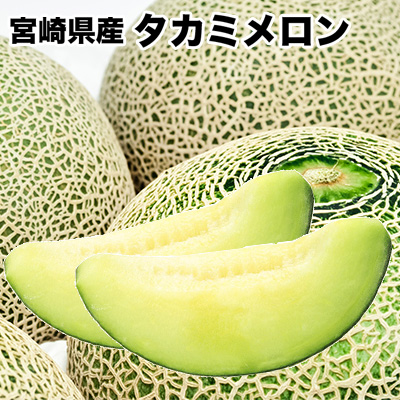 メロン 贈答用 1玉入 送料無料 お中元 茨城県 愛知県 タカミ