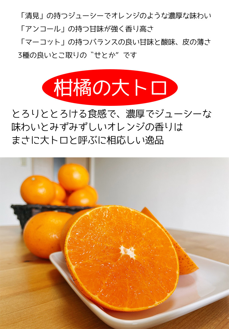 せとか 訳あり みかん 2.5kg 送料無料 柑橘の大トロ 南紀のせとか Sサイズ 2.5kg ご家庭用 お試し 送料無料【2月中旬頃から】