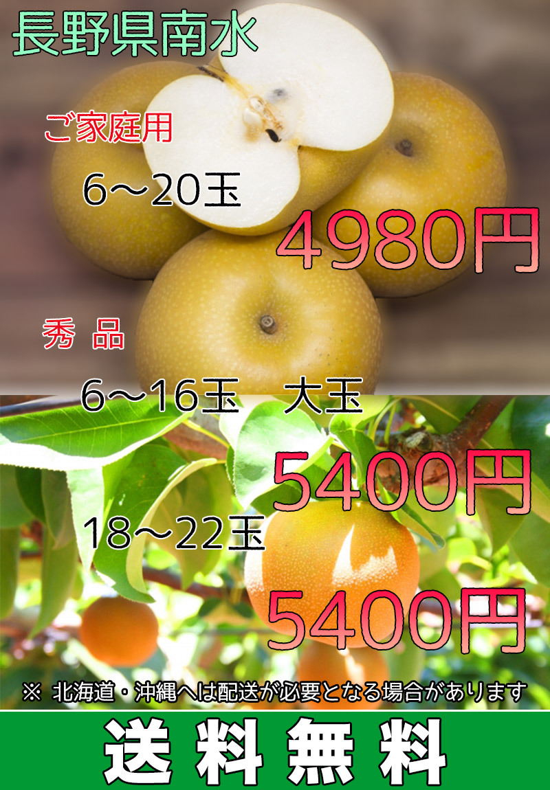 梨 なし 訳あり 送料無料 信州 長野県産 南水 梨 5kg 8〜20個入り 送料