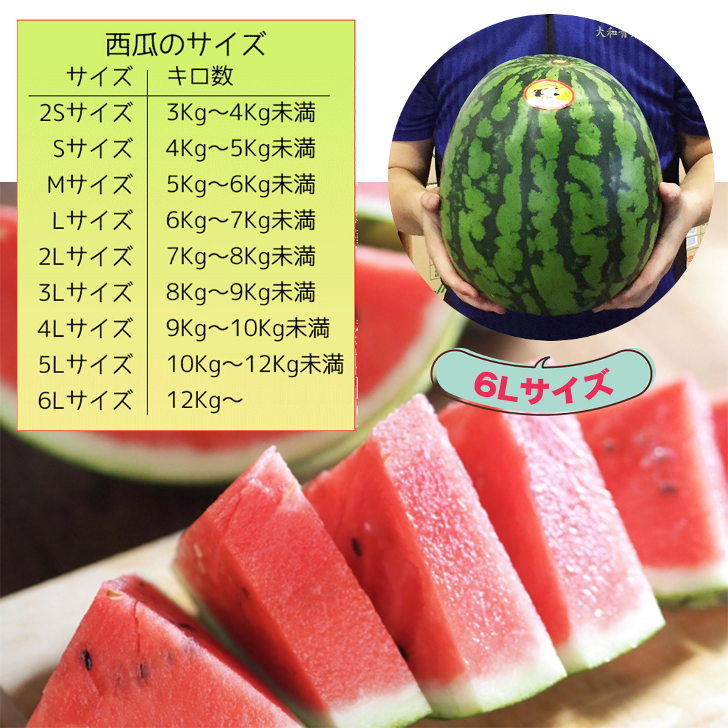 香*月様 スイカ大サイズ手作り額付き作品　title「一陽来福ニャンコ」 香*月様 スイカ大サイズ手作り額付き作品 title「一陽来福ニャンコ」