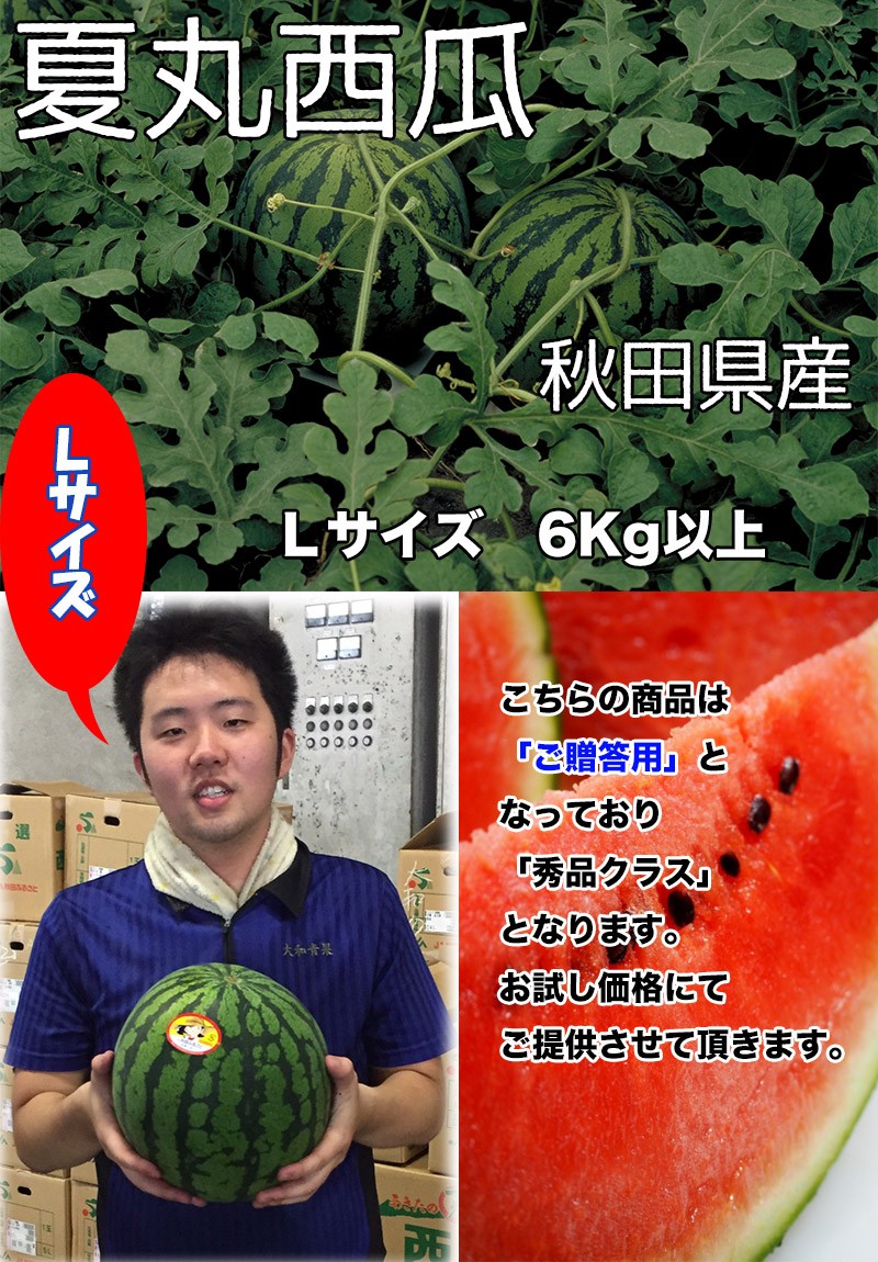 すいか スイカ 秋田県産 夏丸 西瓜 秀クラス Lサイズ 6kg 常温便 送料無料 お試し 大玉 西瓜 ギフト お中元 クール便送料必要 8月上旬以降 Watmel010 05m1l 大和屋 旬果庵 通販 Yahoo ショッピング