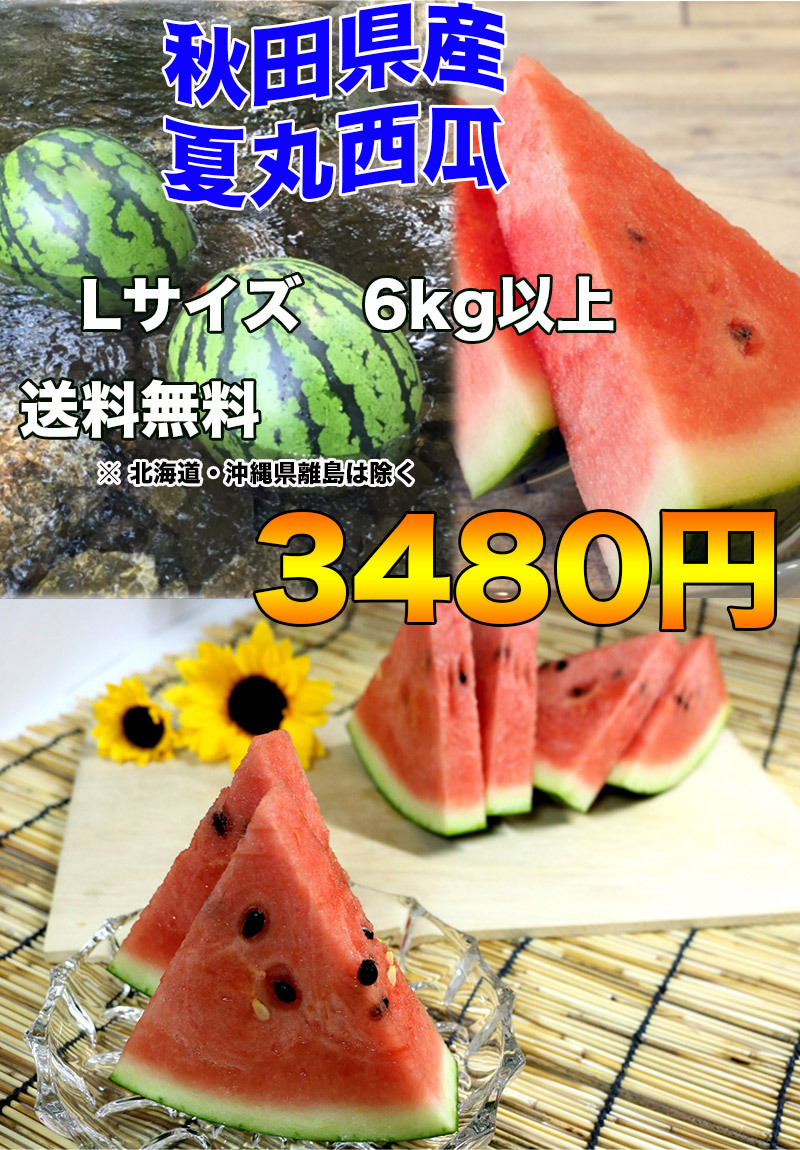 すいか スイカ 秋田県産 夏丸 西瓜 秀クラス Lサイズ 6kg 常温便 送料無料 お試し 大玉 西瓜 ギフト お中元 クール便送料必要 8月上旬以降 Watmel010 05m1l 大和屋 旬果庵 通販 Yahoo ショッピング