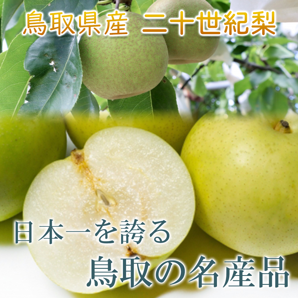 セール 二十世紀梨 訳あり 梨 鳥取県産 20世紀梨 5kg 7〜24玉入 送料