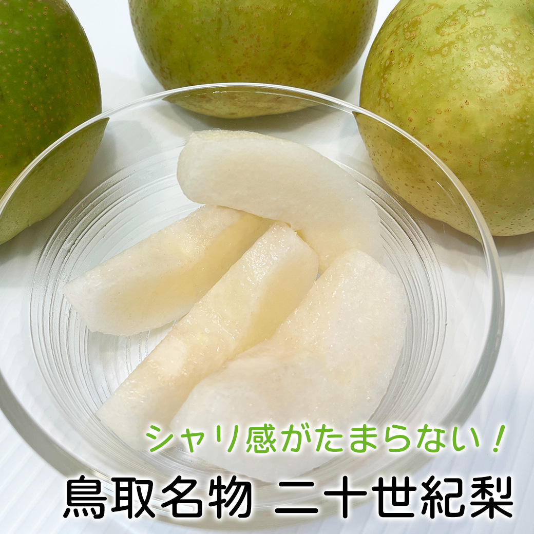 二十世紀梨 訳あり 梨 鳥取県産 20世紀梨 5kg 7〜24玉入 送料無料 ご