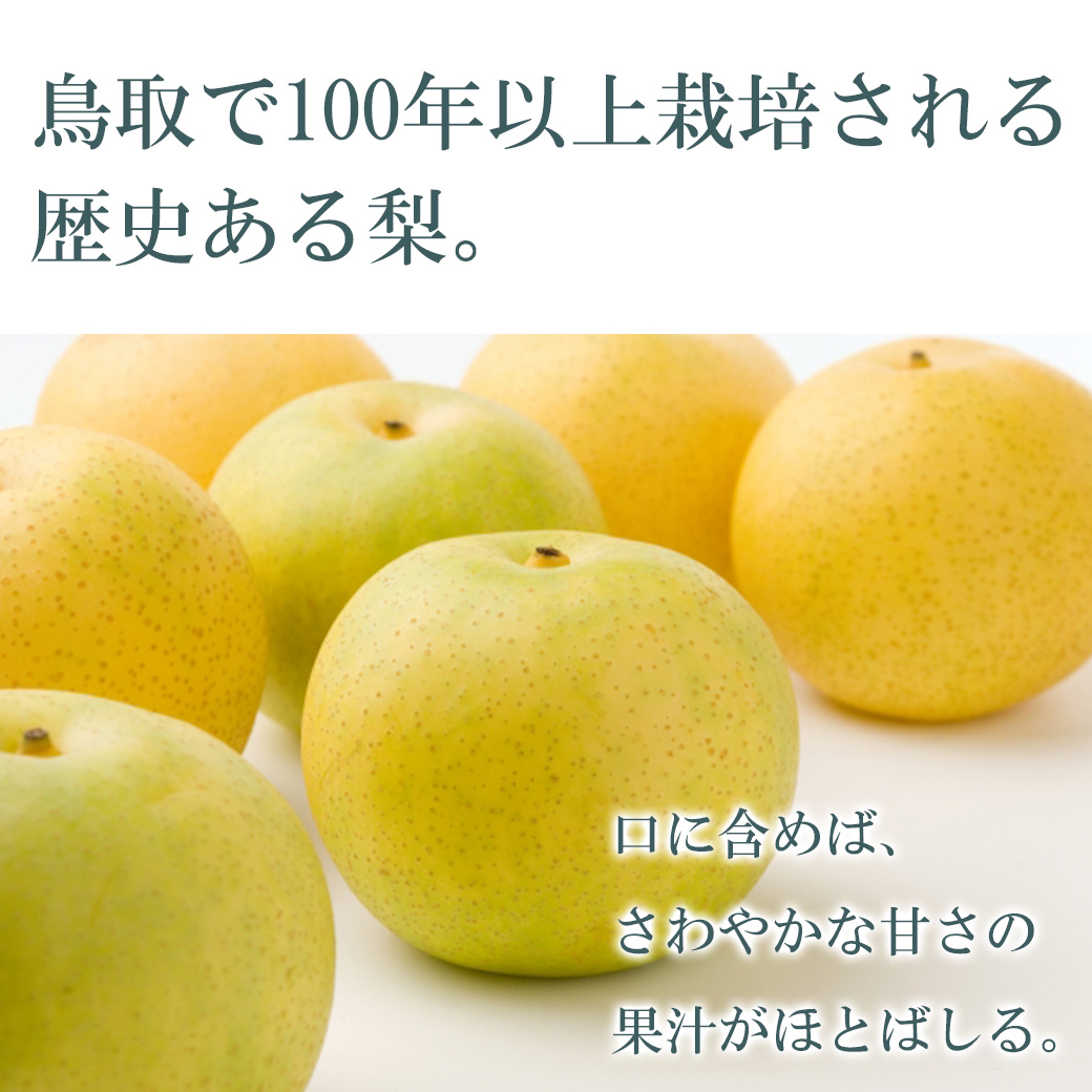 ★鳥取県産　二十世紀梨　4L・24玉　約11kg★ 【家庭用・訳あり商品】 二十世紀梨 訳あり 梨 鳥取県産 20世紀梨 5kg 7〜24玉入 送料無料 ご