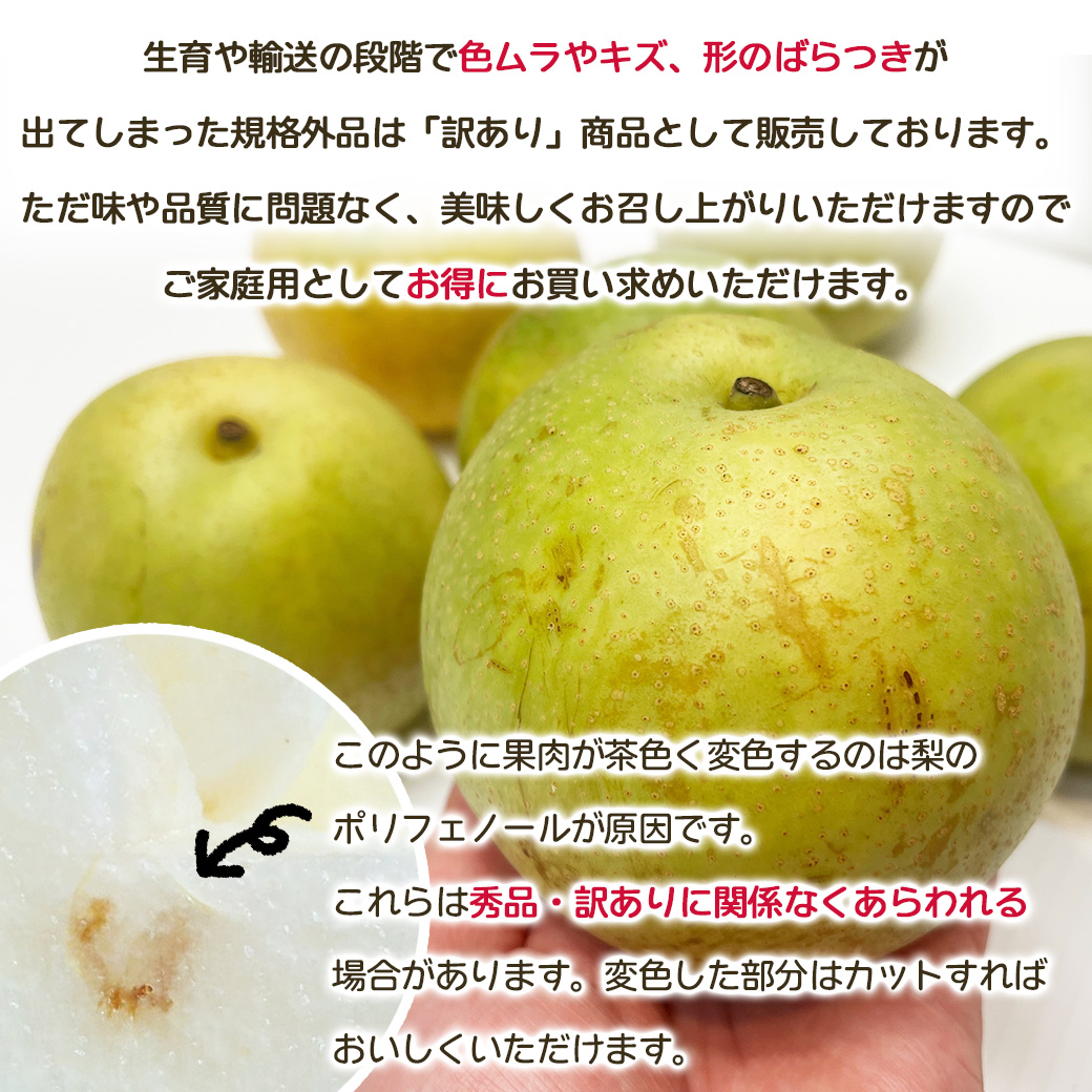 二十世紀梨 訳あり 梨 鳥取県産 20世紀梨 5kg 7〜24玉入 送料無料 ご