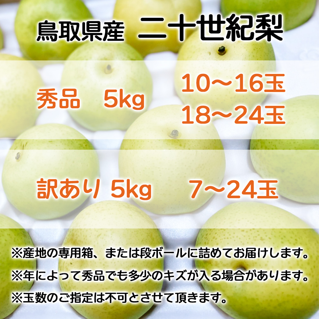 二十世紀梨 訳あり 梨 鳥取県産 20世紀梨 5kg 7〜24玉入 送料無料 ご