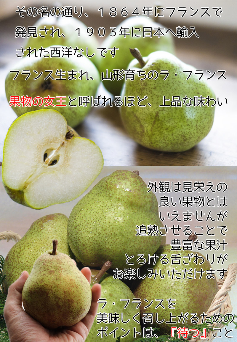 ふるさと納税 西洋梨 ラ ご家庭用 0078-2203 フランス 山形県上山市 ３ｋｇ 大玉