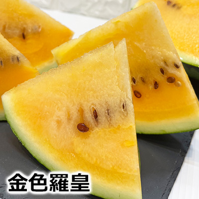 金色羅皇 西瓜 スイカ 信州 長野県産12.5キロ 正規品販売サイト