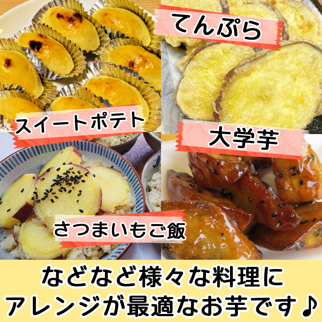 さつまいも 5kg 小-中サイズ 送料無料 なると金時 徳島県産 鳴門金時