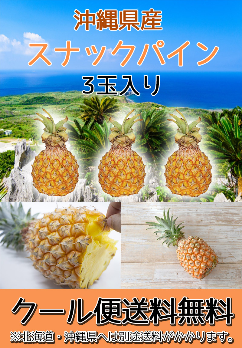 パイナップル パイン スナックパイン 島パイン 沖縄県産スナック