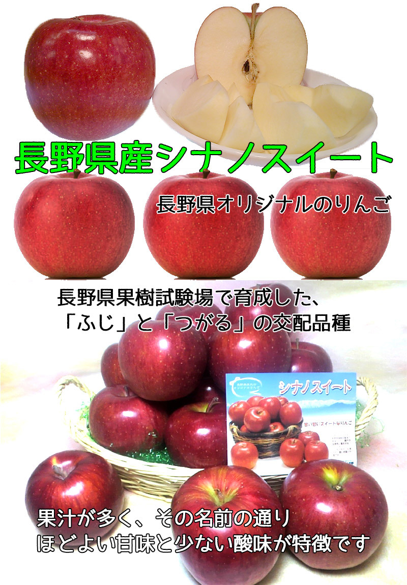 りんご 5Kg シナノスイート 長野県 シナノスイート 秀品 5kg 14〜20個