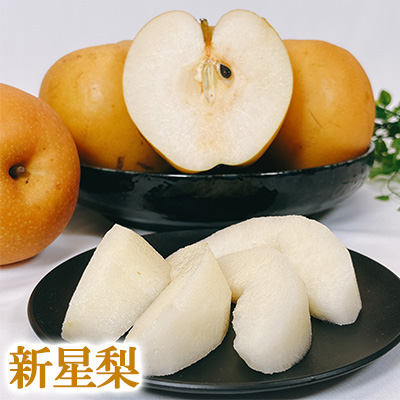 梨 なし ナシ 王秋 5Kg箱 秀品 贈答用 お歳暮 ギフト プレゼント 鳥取