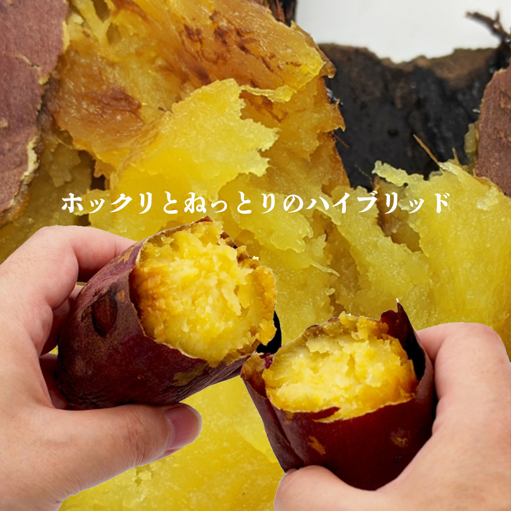 さつまいも 5kg 小-中サイズ 送料無料 シルクスイート 茨城県 または