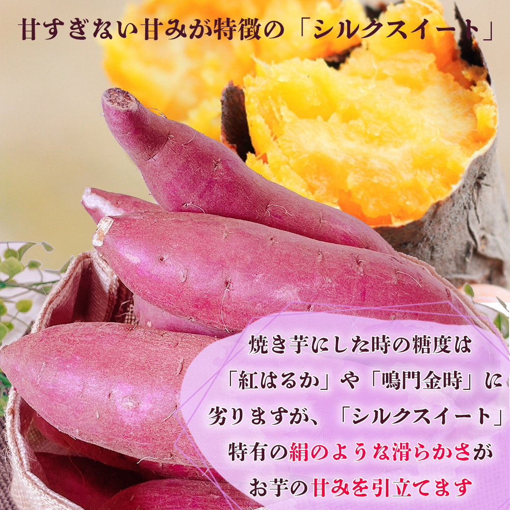 さつまいも 5kg 中-大サイズ 送料無料 シルクスイート 茨城県 または