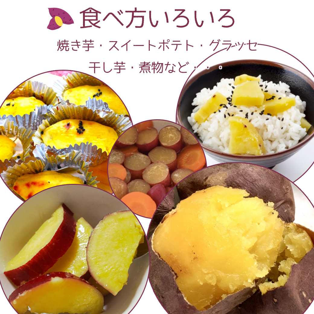 さつまいも 5kg 中-大サイズ 送料無料 シルクスイート 茨城県 または