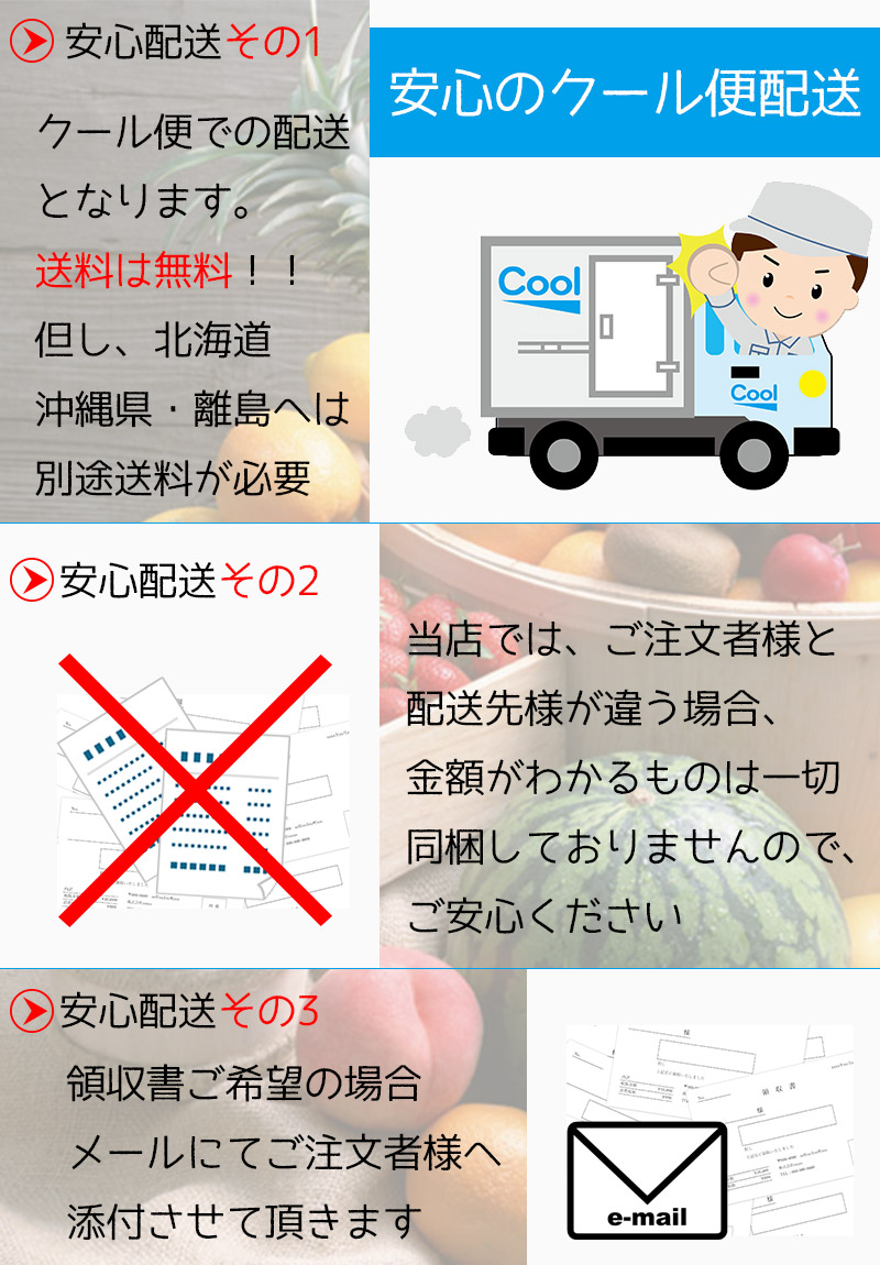 ぶどう ブドウ 長野県産 ナガノパープル 化粧箱 2房入 合計1kg ぶどう ブドウ 長野県産 ナガノパープル 化粧箱 2房入 合計1kg