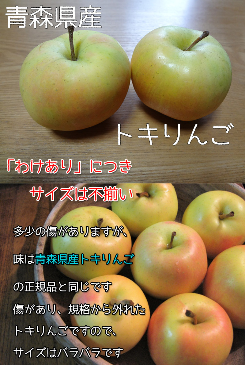 りんご とき 約10kg 訳あり家庭用 8 糖度13度以上保証 りんご とき 約10kg 訳あり家庭用 8 糖度13度以上保証