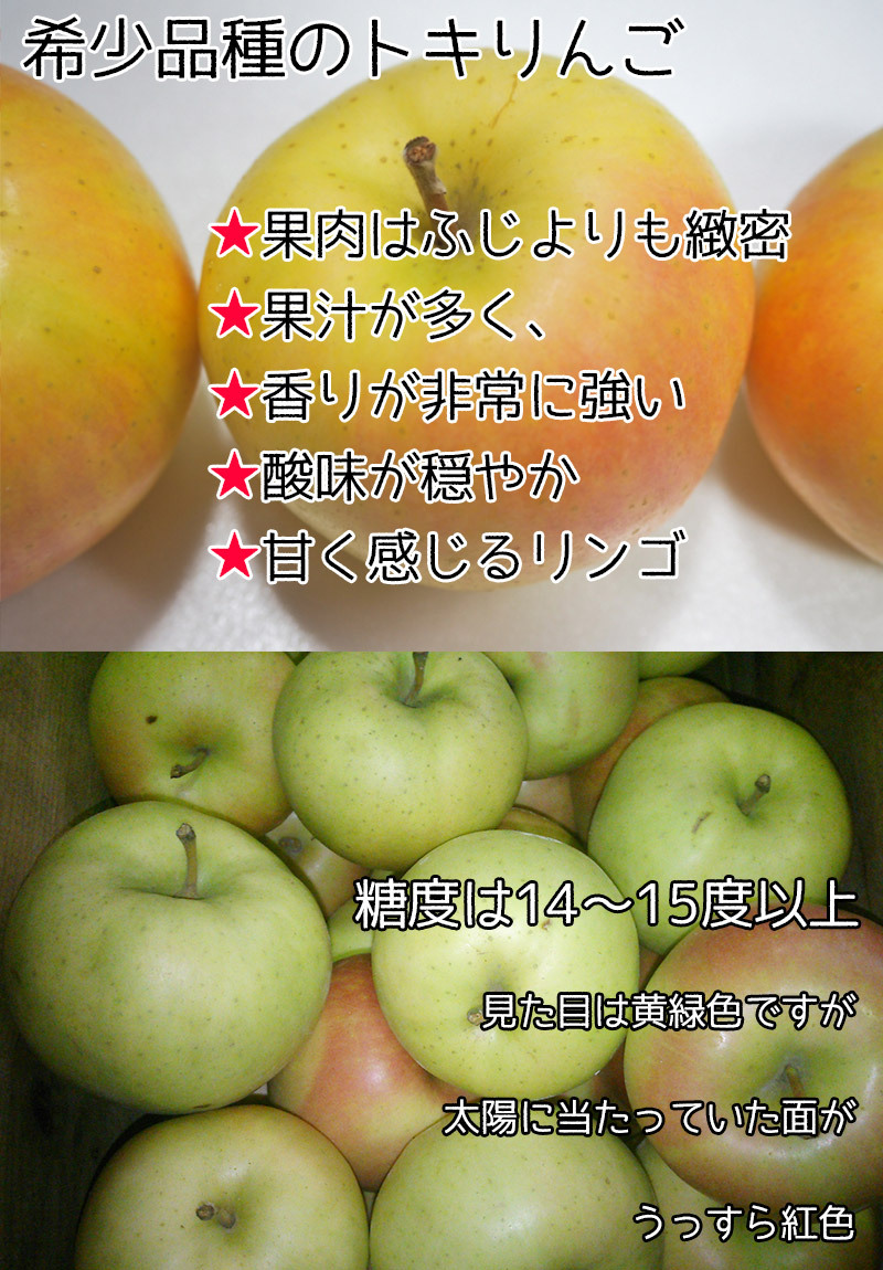 りんご とき 約10kg 訳あり家庭用 8 糖度13度以上保証 りんご とき 約10kg 訳あり家庭用 8 糖度13度以上保証
