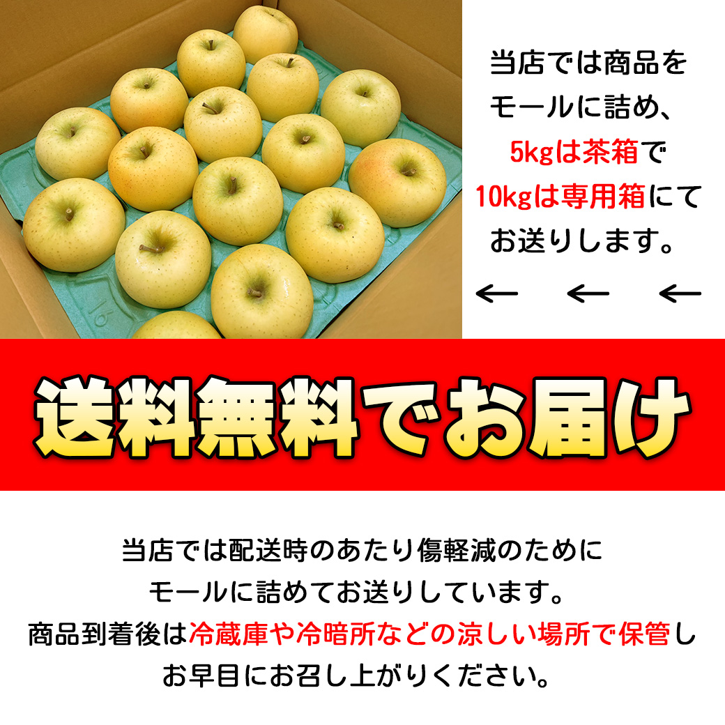 シナノゴールド りんご 青いりんご 送料無料 青森県産 秀品 5kg
