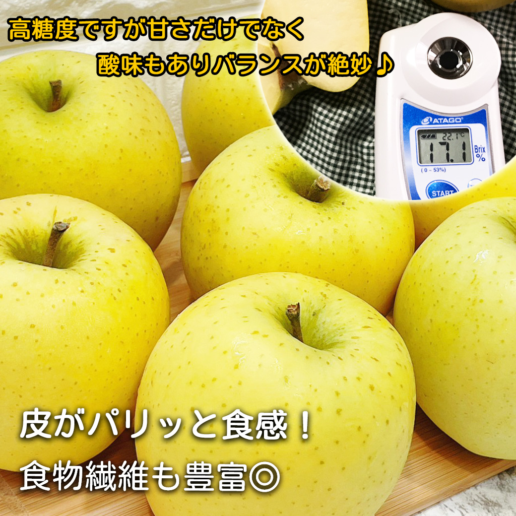 シナノゴールド りんご 青いりんご 送料無料 青森県産 秀品 5kg