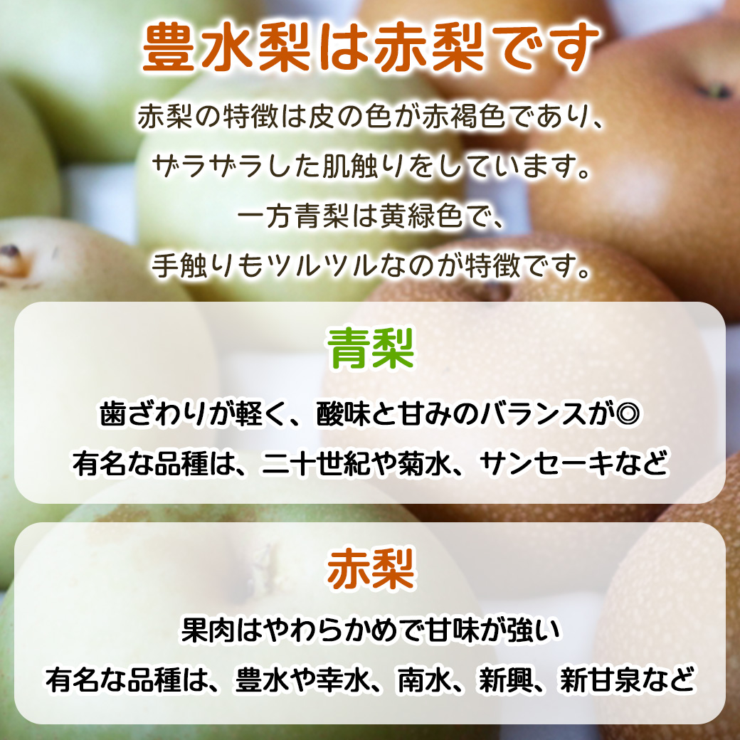 9/7迄価格】 高梨豊 オリジナルプリント額装『町』より万定フルーツ