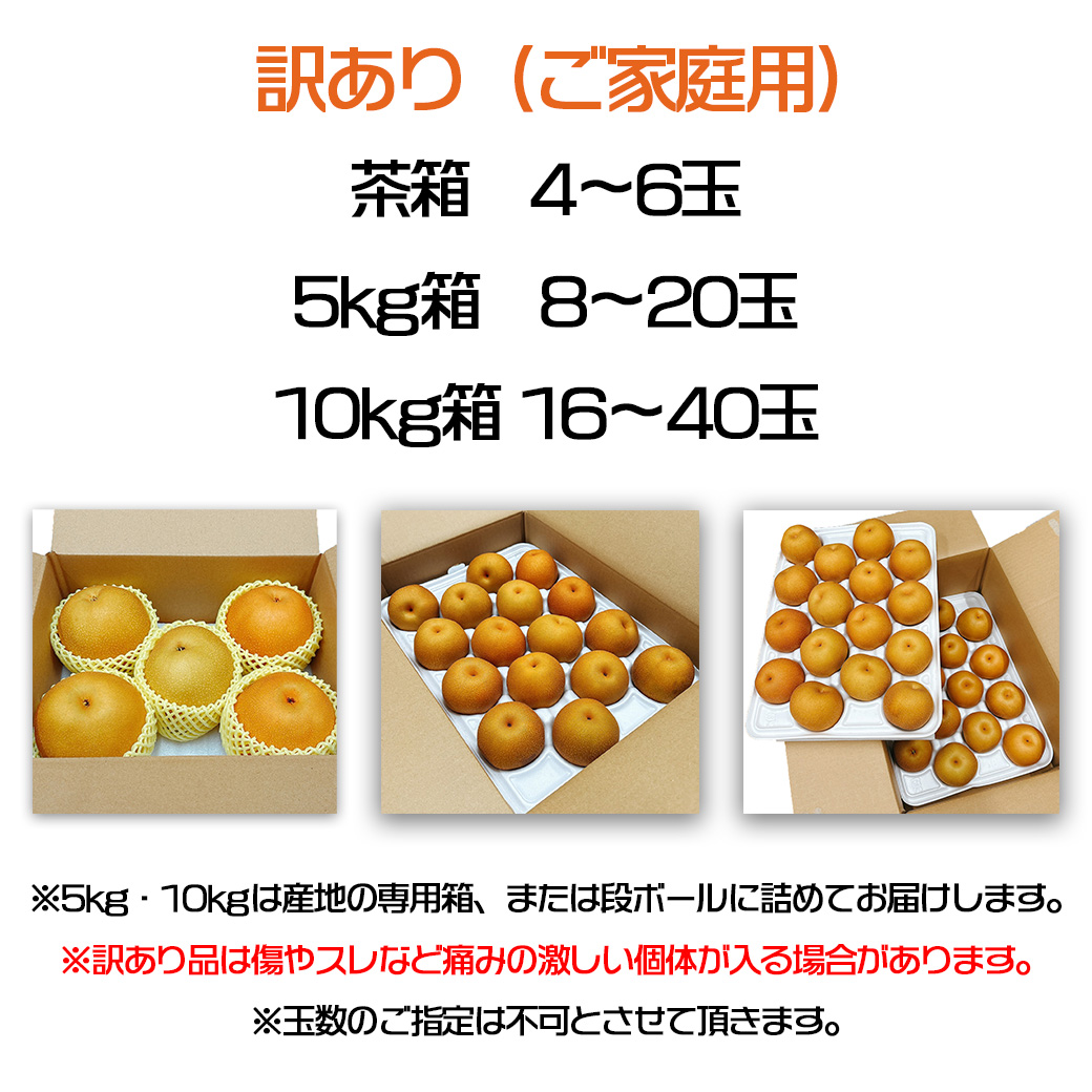 梨 なし 訳あり ご家庭用 訳あり梨 5kg 送料無料 鳥取県産 豊水 5kg