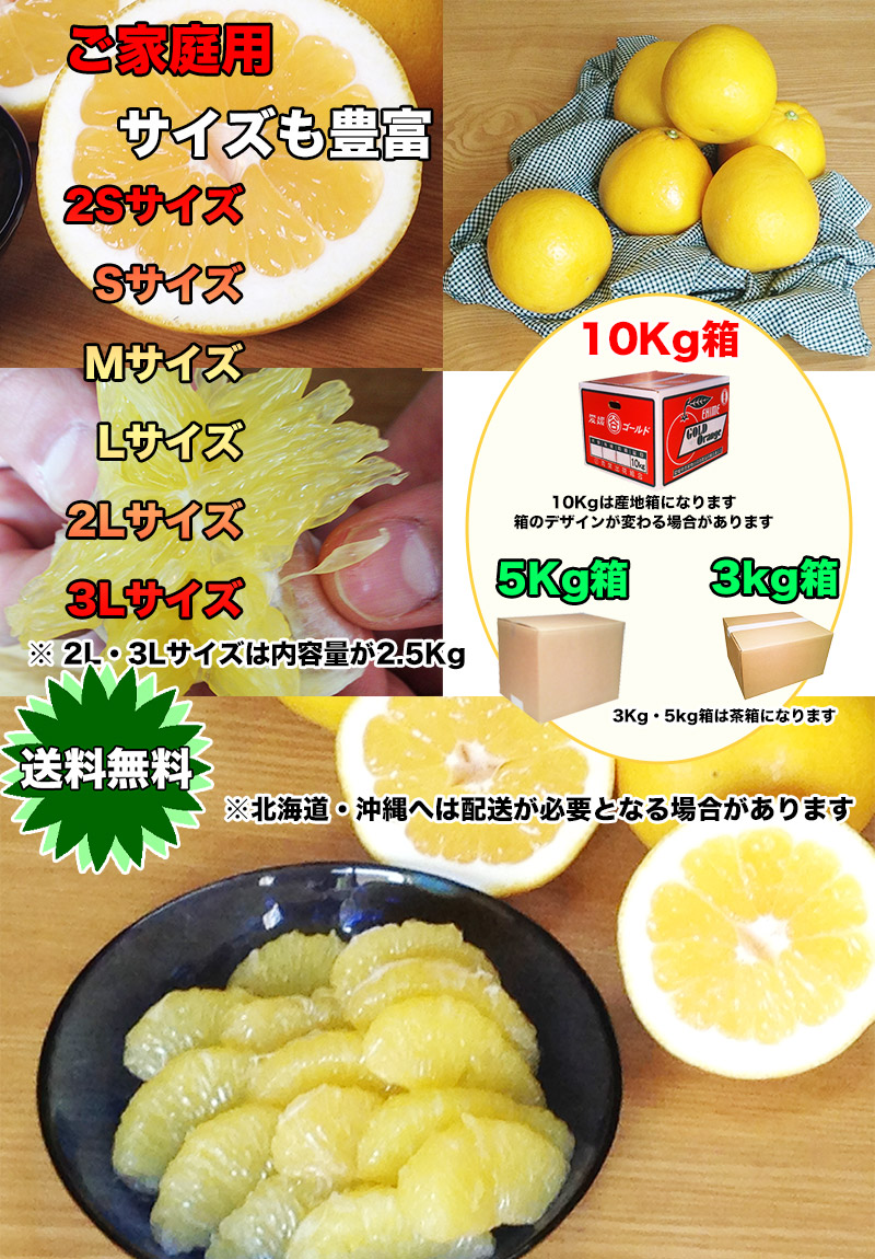 河内晩柑 宇和ゴールド 家庭用 L 10kg 夏文旦 美生柑 みかん ご家庭用
