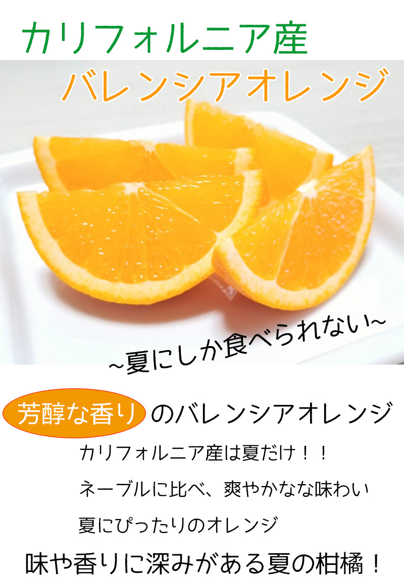 訳あり カリフォルニア産 バレンシア オレンジ 糖度保証 18kg 玉前後 クール便配送可 Citrus2 555a 大和屋 旬果庵 通販 Yahoo ショッピング