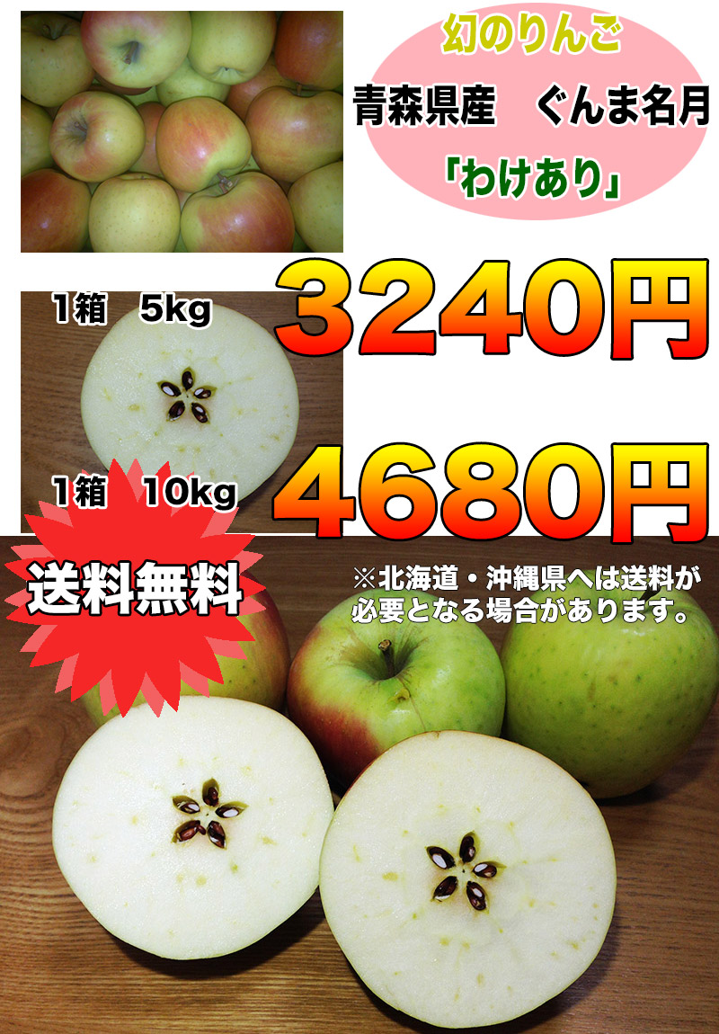 りんご 訳あり 5kg 青森県産 ぐんま 名月 約5kg 訳あり 幻のりんご 送料無料 傷あり 予約 11月下旬頃から発送開始  :appleg020-050a:大和屋 旬果庵 通販 