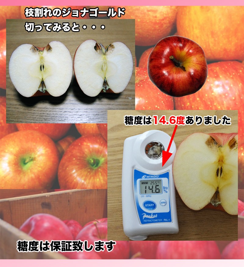 ジョナゴールド りんご 中玉1個 送料別商品です。ご注文後こちら