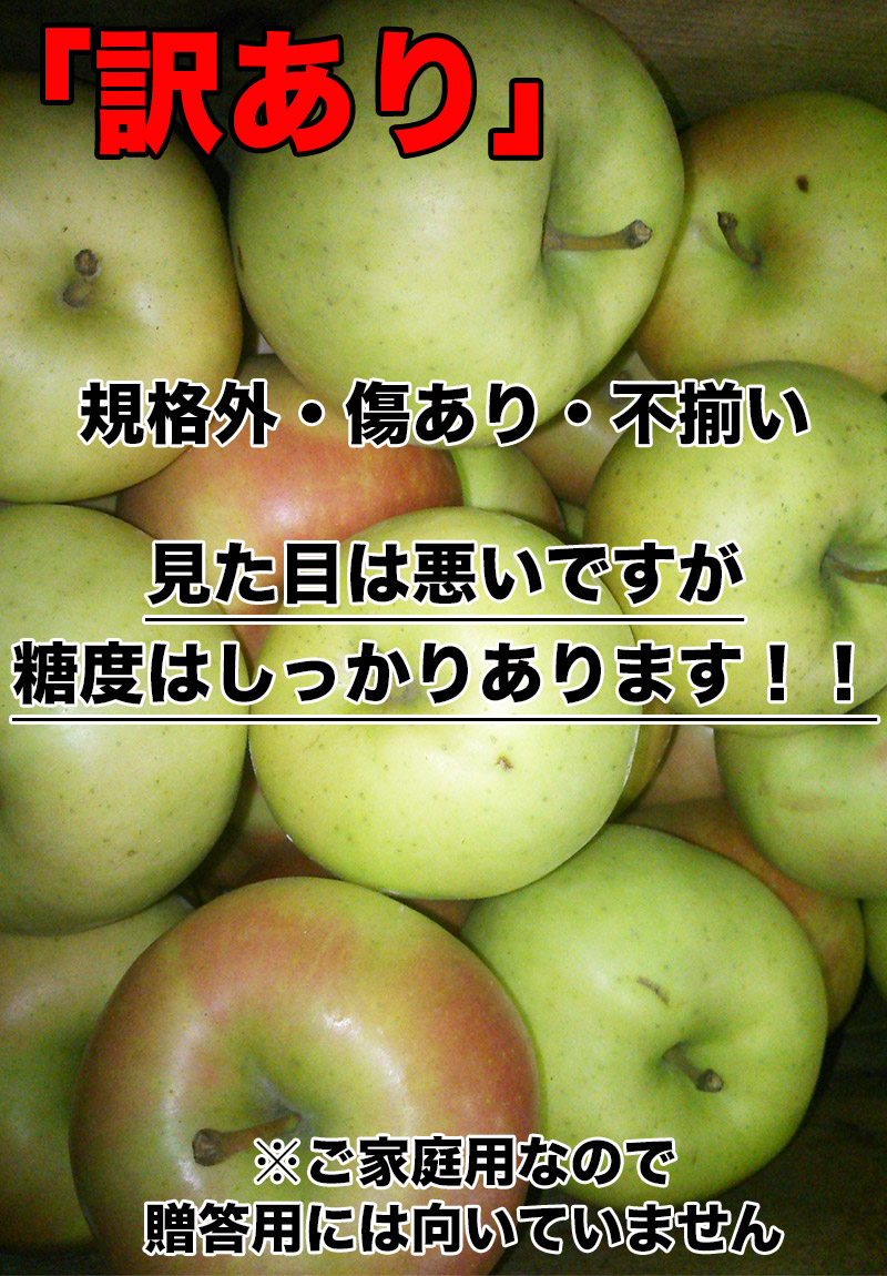 青森県産りんご　トキ⑪食べきりサイズ