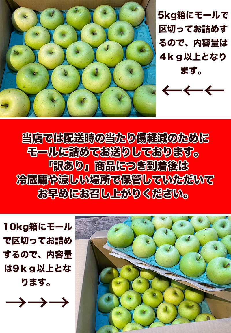 青森県産りんご　トキ㉚家庭用
